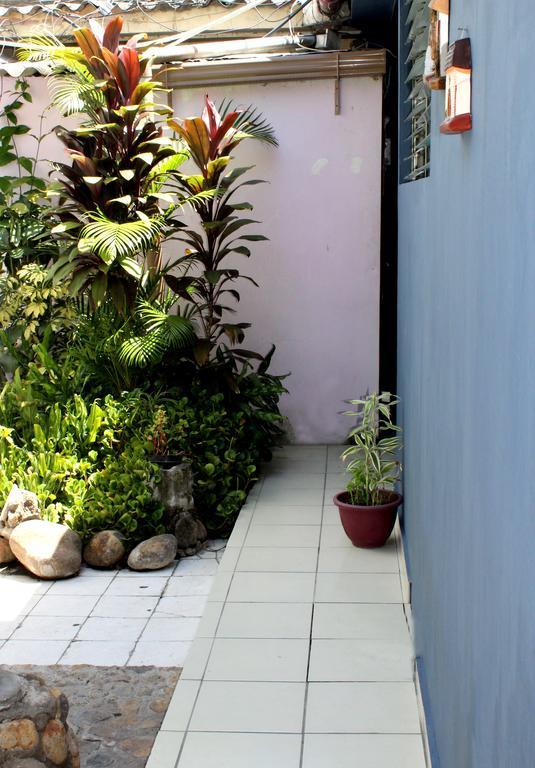 Ximenas Guest House سان سلفادور المظهر الخارجي الصورة