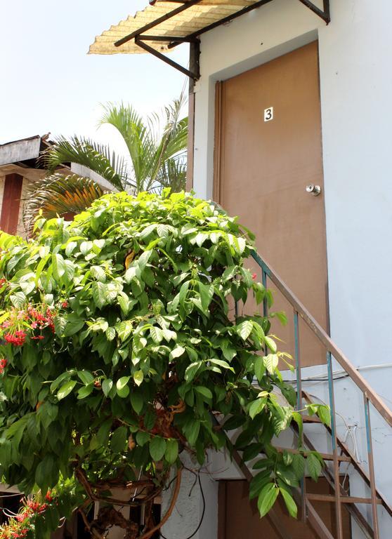 Ximenas Guest House سان سلفادور المظهر الخارجي الصورة